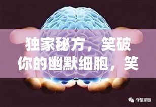 獨(dú)家秘方，笑破你的幽默細(xì)胞，笑料大解密！