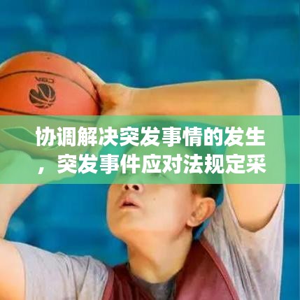 協(xié)調(diào)解決突發(fā)事情的發(fā)生，突發(fā)事件應(yīng)對(duì)法規(guī)定采用調(diào)解 