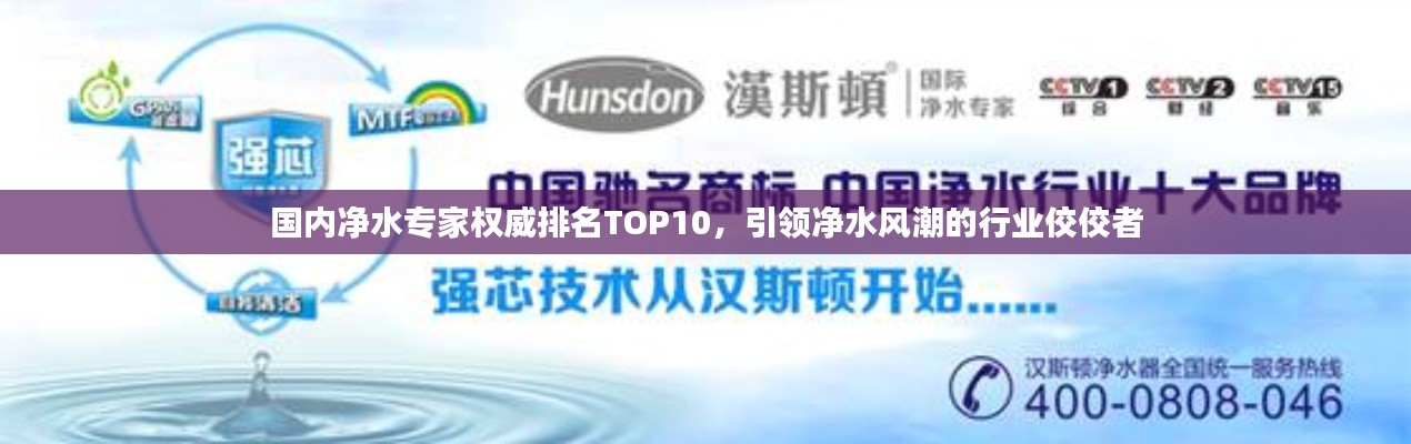 國內(nèi)凈水專家權(quán)威排名TOP10，引領(lǐng)凈水風(fēng)潮的行業(yè)佼佼者