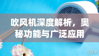 吹風(fēng)機深度解析，奧秘功能與廣泛應(yīng)用探索