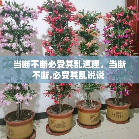 當(dāng)斷不斷必受其亂道理，當(dāng)斷不斷,必受其亂說說 
