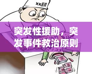突發(fā)性援助，突發(fā)事件救治原則 