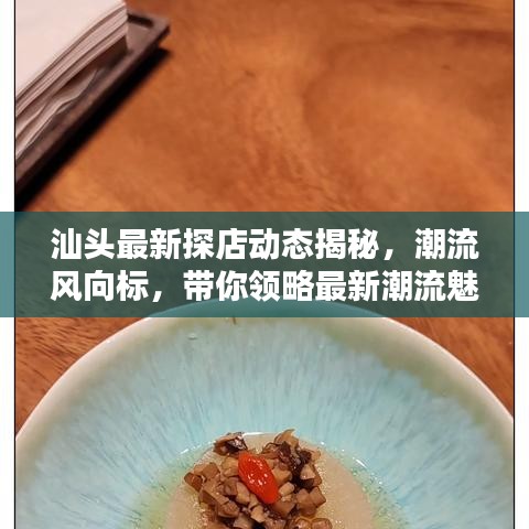 汕頭最新探店動態(tài)揭秘，潮流風向標，帶你領(lǐng)略最新潮流魅力