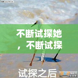 2025年1月11日 第20頁