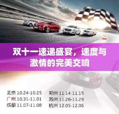 雙十一速遞盛宴，速度與激情的完美交響