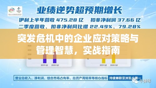 突發(fā)危機中的企業(yè)應(yīng)對策略與管理智慧，實戰(zhàn)指南