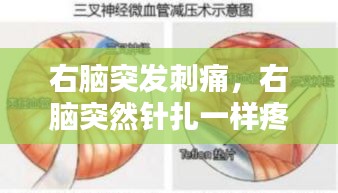 右腦突發(fā)刺痛，右腦突然針扎一樣疼 