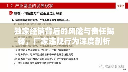 獨家經(jīng)銷背后的風(fēng)險與責任揭秘，廠家違規(guī)行為深度剖析