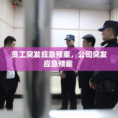員工突發(fā)應急預案，公司突發(fā)應急預案 