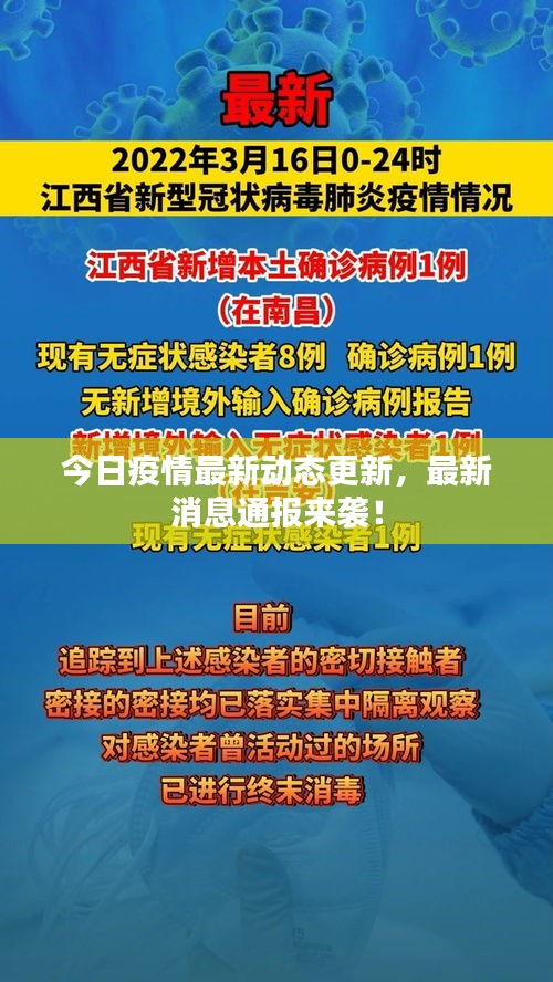 今日疫情最新動態(tài)更新，最新消息通報(bào)來襲！