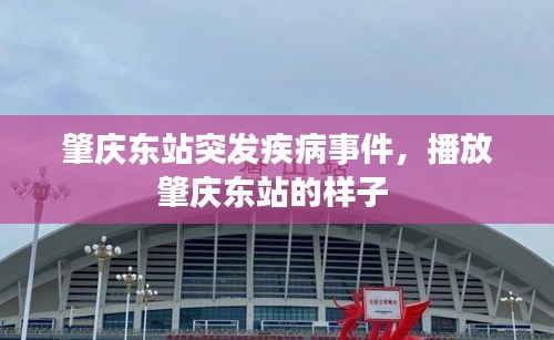 肇慶東站突發(fā)疾病事件，播放肇慶東站的樣子 