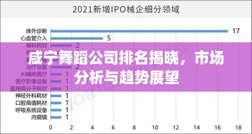 咸寧舞蹈公司排名揭曉，市場分析與趨勢展望