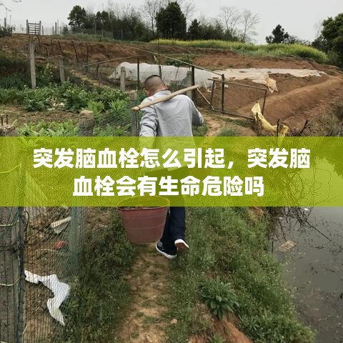 突發(fā)腦血栓怎么引起，突發(fā)腦血栓會有生命危險嗎 
