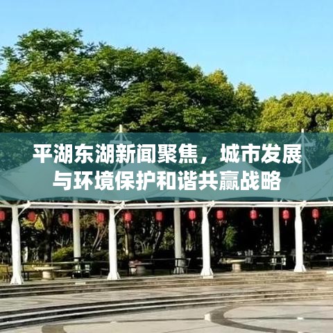 2025年1月12日 第14頁