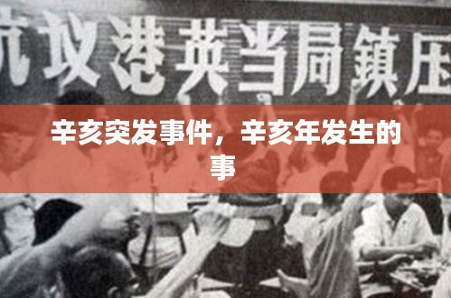 辛亥突發(fā)事件，辛亥年發(fā)生的事 
