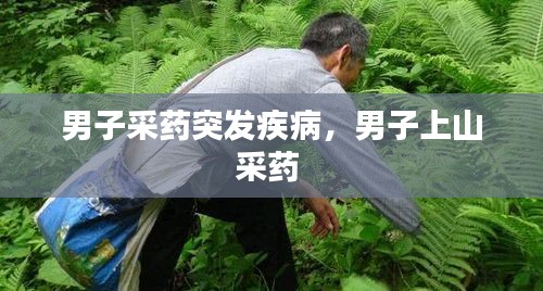 男子采藥突發(fā)疾病，男子上山采藥 