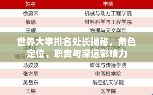 世界大學(xué)排名處長(zhǎng)揭秘，角色定位、職責(zé)與深遠(yuǎn)影響力