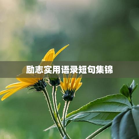 勵(lì)志實(shí)用語錄短句集錦