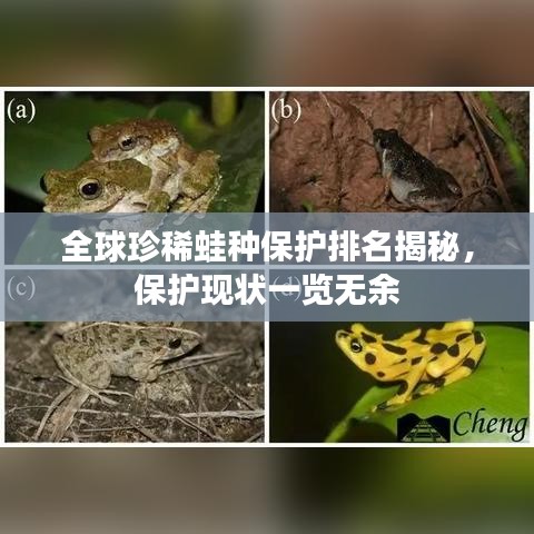 全球珍稀蛙種保護(hù)排名揭秘，保護(hù)現(xiàn)狀一覽無余