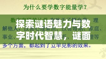 探索謎語魅力與數(shù)字時(shí)代智慧，謎面斷字與百度搜索的奇妙結(jié)合