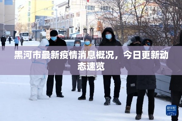 黑河市最新疫情消息概況，今日更新動(dòng)態(tài)速覽
