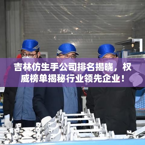 吉林仿生手公司排名揭曉，權(quán)威榜單揭秘行業(yè)領(lǐng)先企業(yè)！