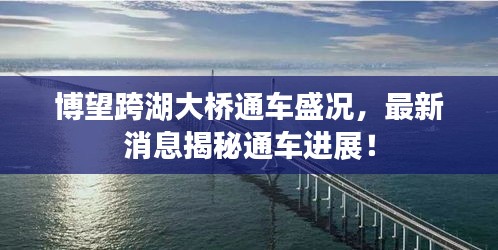 博望跨湖大橋通車盛況，最新消息揭秘通車進(jìn)展！
