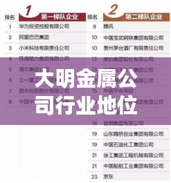大明金屬公司行業(yè)地位與影響力解析，行業(yè)排名揭秘