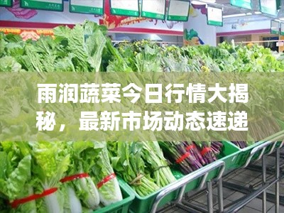 雨潤蔬菜今日行情大揭秘，最新市場動態(tài)速遞
