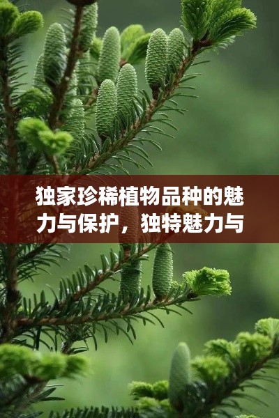 獨家珍稀植物品種的魅力與保護，獨特魅力與院外品種探秘