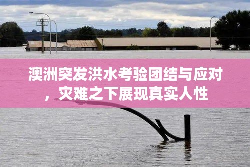 澳洲突發(fā)洪水考驗(yàn)團(tuán)結(jié)與應(yīng)對(duì)，災(zāi)難之下展現(xiàn)真實(shí)人性