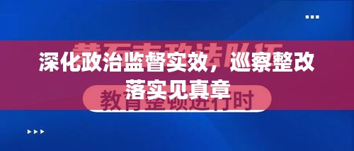 深化政治監(jiān)督實效，巡察整改落實見真章