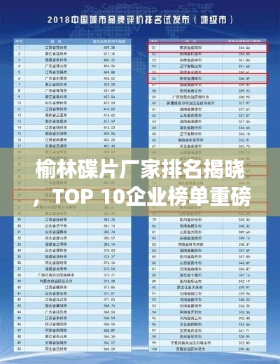 榆林碟片廠家排名揭曉，TOP 10企業(yè)榜單重磅出爐！