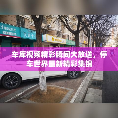 車庫視頻精彩瞬間大放送，停車世界最新精彩集錦
