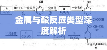 金屬與酸反應(yīng)類型深度解析