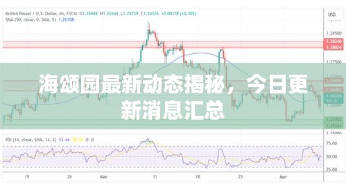 海頌園最新動態(tài)揭秘，今日更新消息匯總