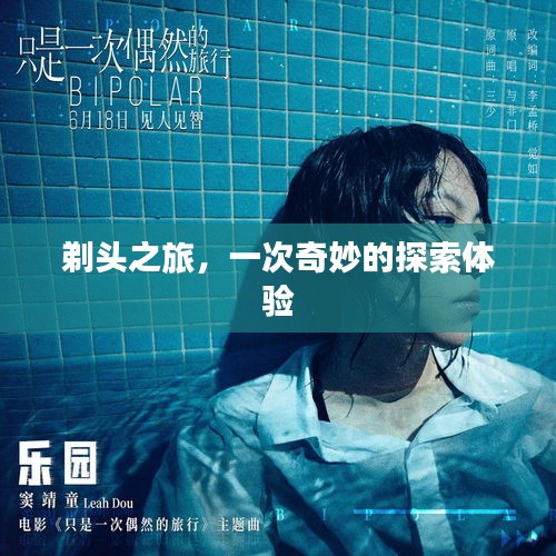 剃頭之旅，一次奇妙的探索體驗