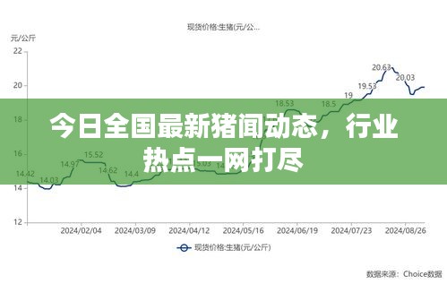 今日全國最新豬聞動態(tài)，行業(yè)熱點一網(wǎng)打盡