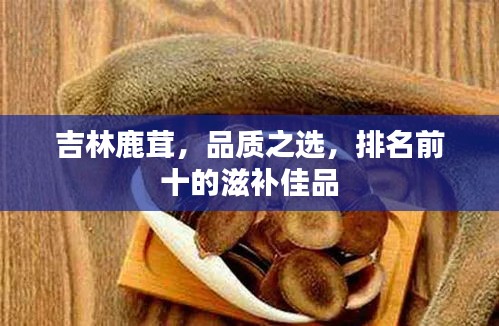 吉林鹿茸，品質(zhì)之選，排名前十的滋補佳品