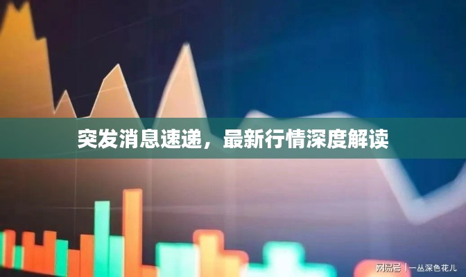 突發(fā)消息速遞，最新行情深度解讀