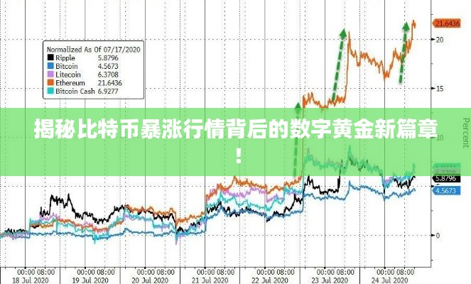 揭秘比特幣暴漲行情背后的數(shù)字黃金新篇章！