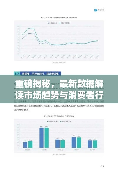 重磅揭秘，最新數(shù)據(jù)解讀市場(chǎng)趨勢(shì)與消費(fèi)者行為，2024以舊換新趨勢(shì)分析
