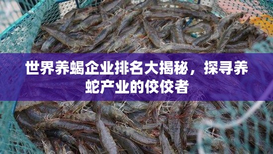 世界養(yǎng)蝎企業(yè)排名大揭秘，探尋養(yǎng)蛇產(chǎn)業(yè)的佼佼者