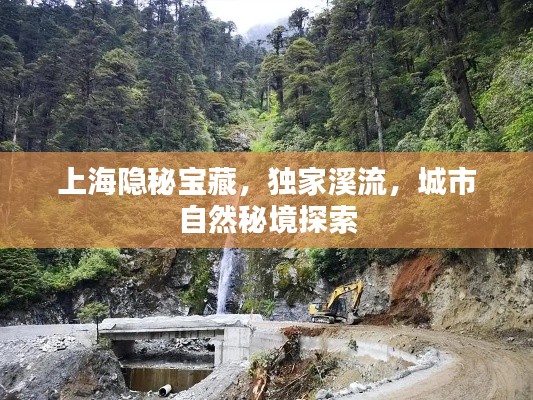 上海隱秘寶藏，獨家溪流，城市自然秘境探索