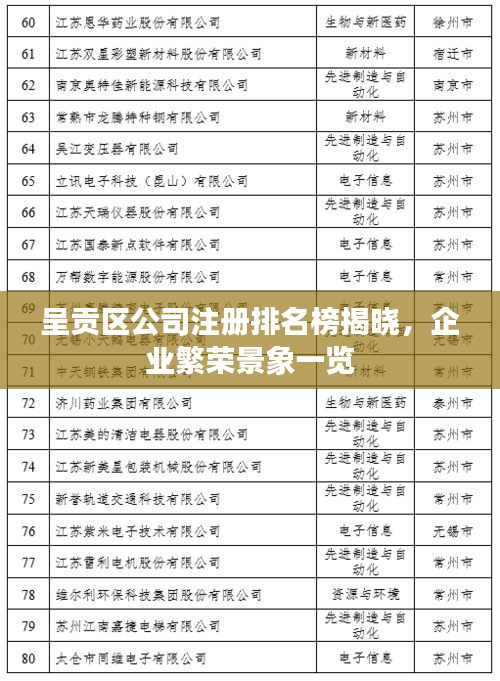 呈貢區(qū)公司注冊排名榜揭曉，企業(yè)繁榮景象一覽