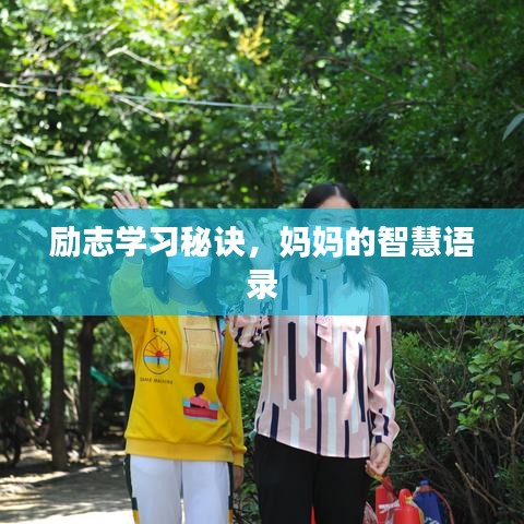 勵(lì)志學(xué)習(xí)秘訣，媽媽的智慧語錄