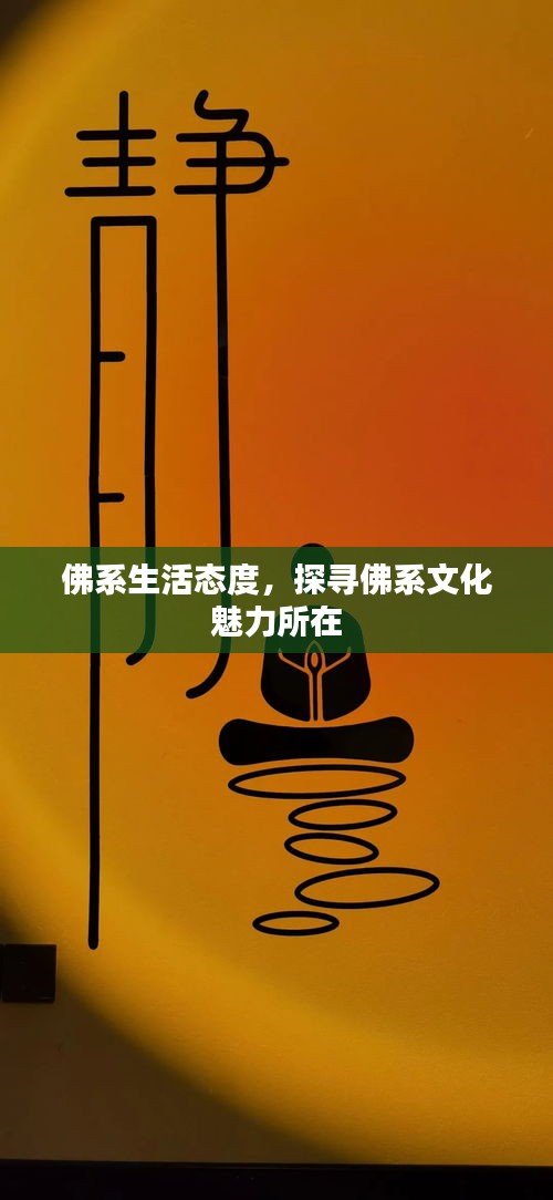 佛系生活態(tài)度，探尋佛系文化魅力所在