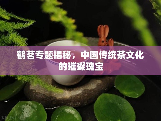 鶴茗專題揭秘，中國傳統(tǒng)茶文化的璀璨瑰寶