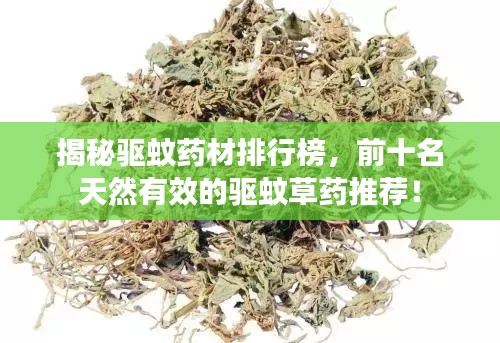 揭秘驅(qū)蚊藥材排行榜，前十名天然有效的驅(qū)蚊草藥推薦！
