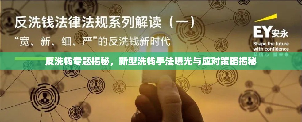 反洗錢專題揭秘，新型洗錢手法曝光與應(yīng)對策略揭秘